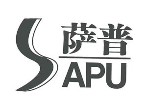 杜明新 工商信息、信用报告、财务报表与联系方式的全面解析